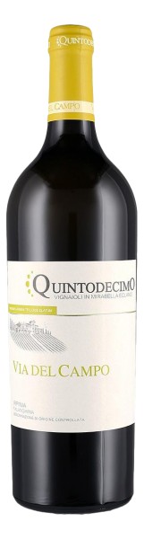 Quintodecimo - Falanghina Via del Campo 2021 - Eataly Vino - NYC Flatiron