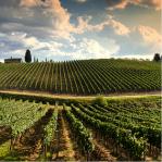 Sergio Drago w/ Gabriel