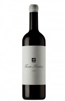 Tenuta di Carleone - Uno 2020 (1.5L)